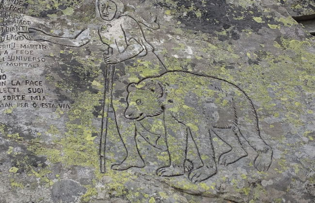 Agriturismo L'Arbo - Foto 29