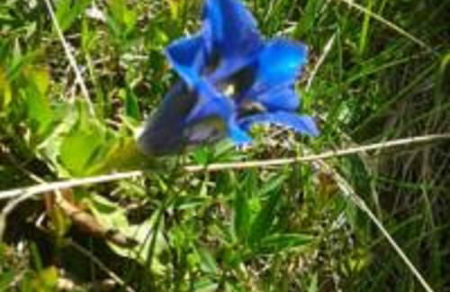 Chalet Martina - Foto 32