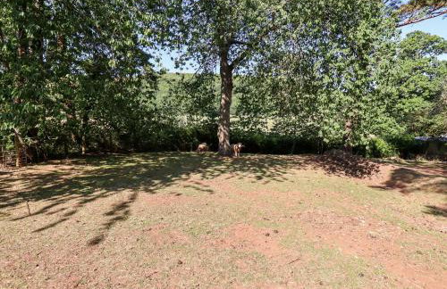 Aluric's Hall - Foto 43