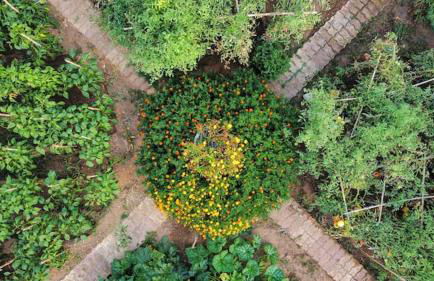 Seaside Villa Alexandra,Acharavi. - Foto 40