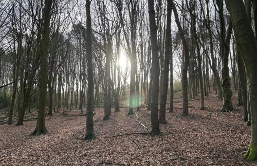 Little Vine Cottage in the grounds of Leeds Castle - Foto 22