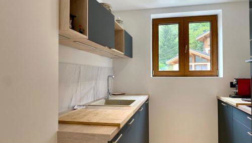 Magnifique 3 Pièces 60m2 central et proximité du lac - Foto 4