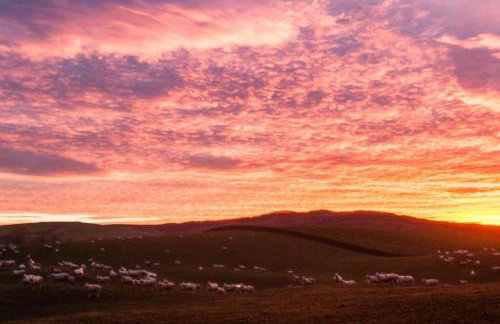 Blairinnie - Foto 21