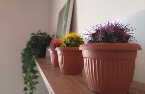 ChillForest SPA - Foto 24