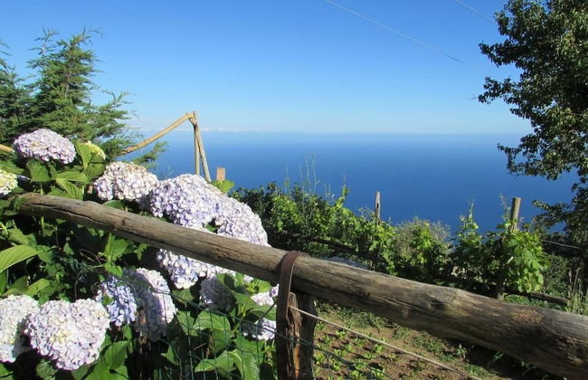 Agriturismo Mare e Monti - Foto 80