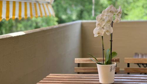 Mafiolina d'Amare - Foto 1