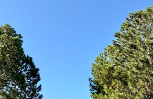 Chalet Monte Boa Vista - Aconchego na Serra com Hidromassagem Exclusiva - Photo 16