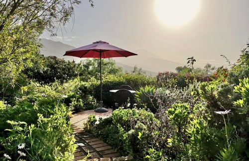 Nanou House - Foto 44