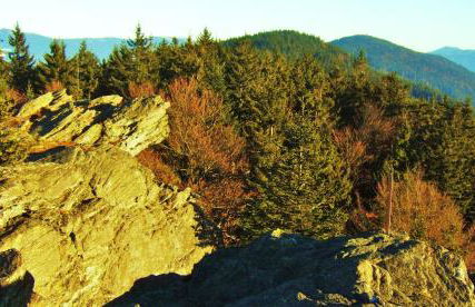 Ferienwohnungen Anneliese&Fritz Wagerer - Photo 31