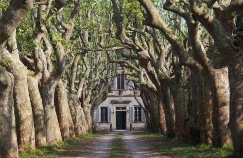 Windrose Casabianca - Foto 38