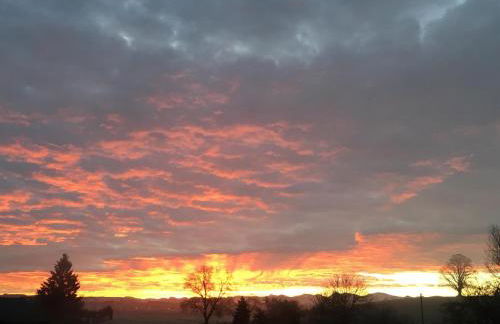 Ferienhof Weber Nieratz - Foto 32