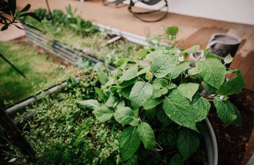 Soonwald Haus I Hot Tube I Whirlpool I Kamin - Foto 57