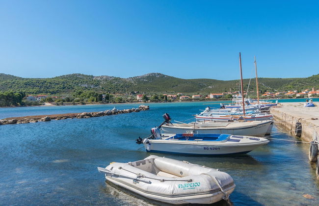 House Pansy - Foto 23