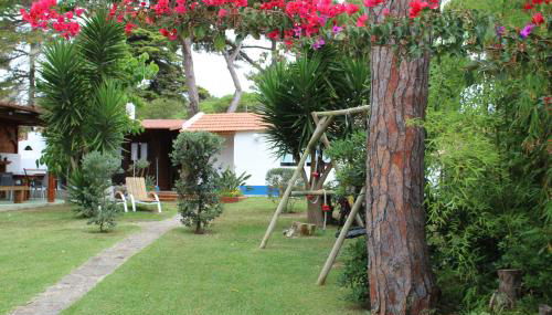 Casinha do pinhal - Photo 5, Garden, Garden view
