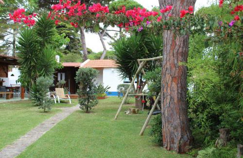 Casinha do pinhal - Foto 5