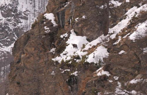 Le grenier du Roux - Photo 19