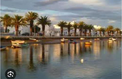 Apartamento Matilde - Foto 24