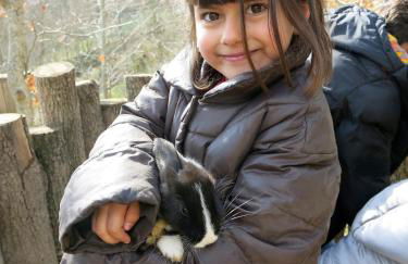 Apartamentos Rurales Les Barnedes - Foto 31