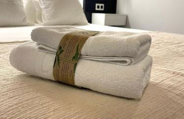 El BURGO DE OSMA ALOJAMIENTO RURAL VILLA BAGH - Foto 26