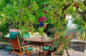 Olive Garden Studio - Foto 29