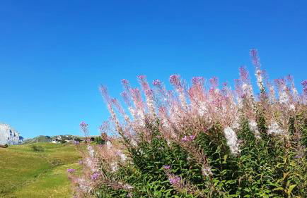 Appartement moderne à Le Grand-Bornand 70 m² avec vue montagne - Photo 12