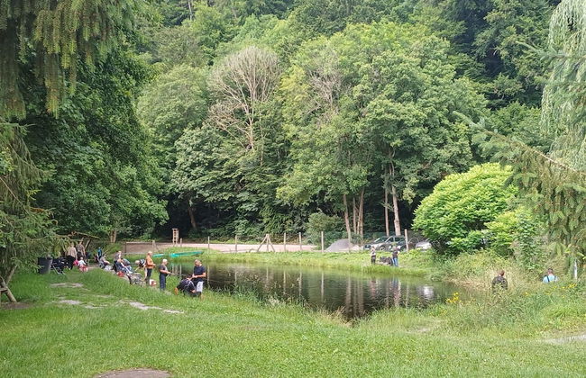 Apartment in Thale by Fishing River - Foto 28