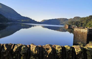 Shepherds hut Dolly wagon - Foto 7