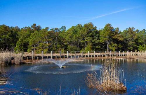 CB9 - Vizsla Surf Club - Foto 49