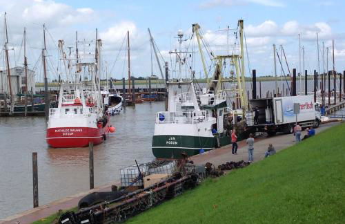 Vier Sterne am Hafen, Ditzum - Foto 44