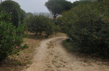 Sondela Self Catering - Foto 35