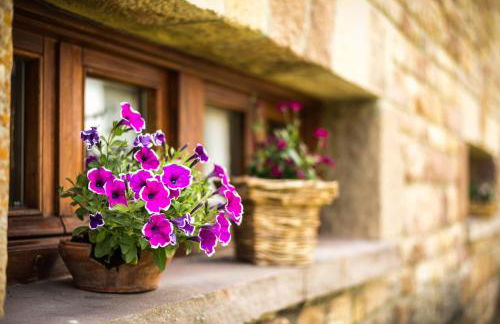 Casavieja Rural - Foto 11