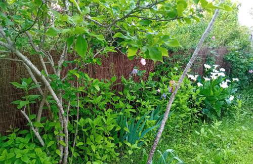 Maison Alfred - Foto 7