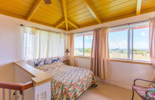 Coconut Palms Vacation Rental near lava fields and beaches - Foto 28