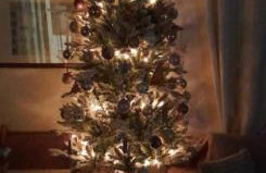 Pelion Malaki- Casa Verde - Foto 19