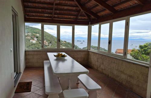 Rosa House - Photo 44