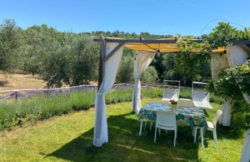 Tenuta Le Mandorlaie, Agriturismo in Scansano - Foto 55