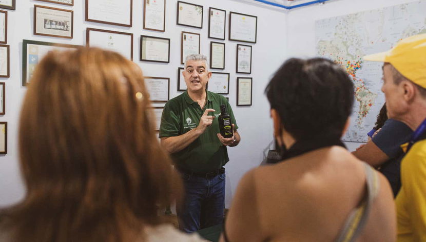 Conheças as caraterísticas dos azeites