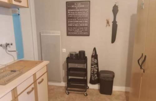 CAUTERETS Appartement F 2 vue sur montagne - Foto 8