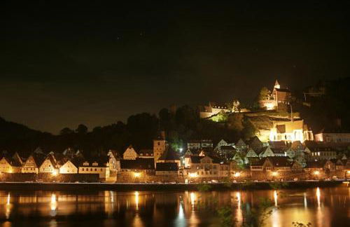 Ferienwohnung Christel Hirschhorn-Neckar - Photo 14