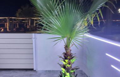 SUN SEA No 7 first line - Foto 29