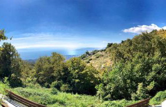 Pelion Homes - Foto 78