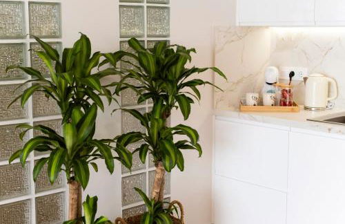 La casa de Pascasio - Foto 50