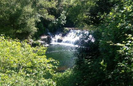 Casa D.Dinis - Foto 46