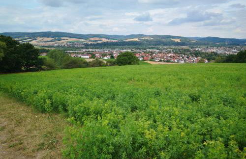 Schrauts Unwesen - Photo 7