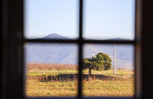 Quinta da Padrela Vineyard House - Foto 21