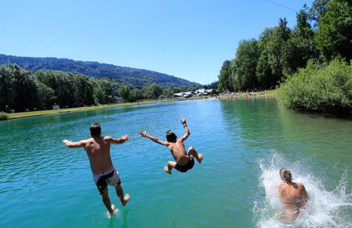 Appartement cosy avec Wifi au pied du télécabine - FR-1-815-78 - Foto 14