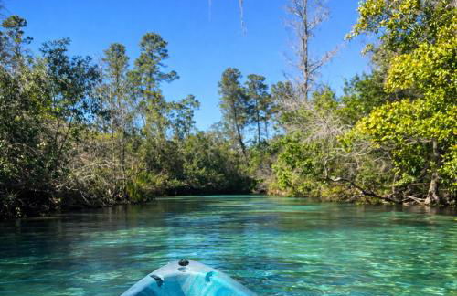 Salty Soul - Foto 27