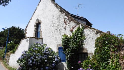 Cocon Nature et bain nordique à 37 degrés - Foto 2