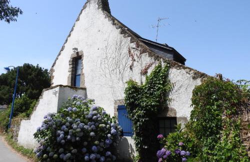 Cocon Nature et bain nordique à 37 degrés - Foto 2