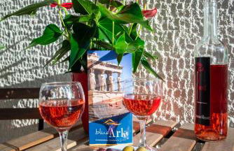 Blue Ark Acropolis Compass - Foto 84